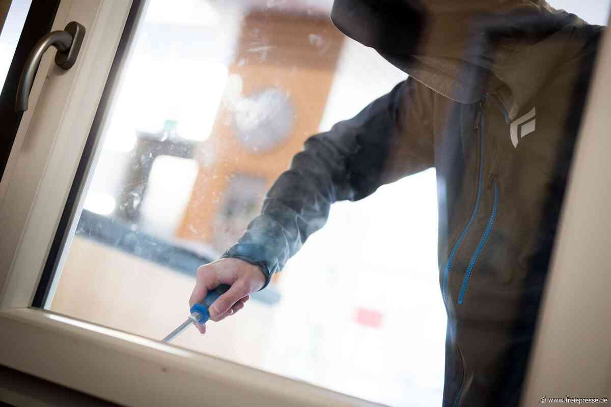 Nach Zeugenhinweis: Polizei schnappt Einbrecher in Auerbach