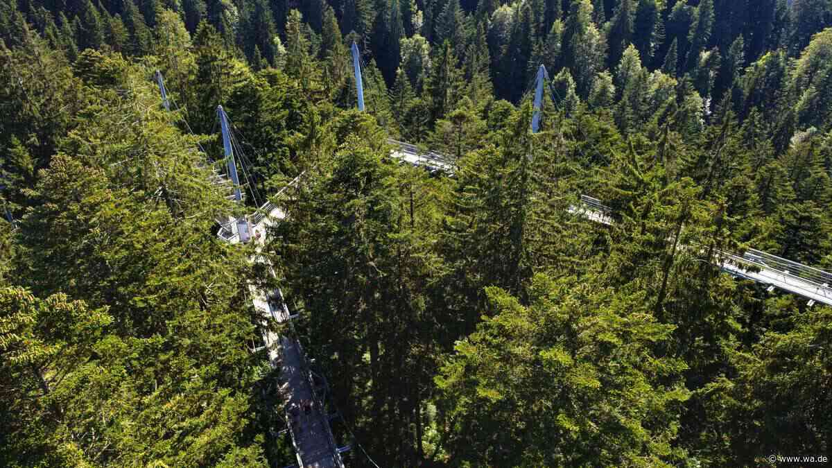 Skywalks und Hängebrücken in Deutschland: Sechs Orte, die für besondere Ausblicke sorgen