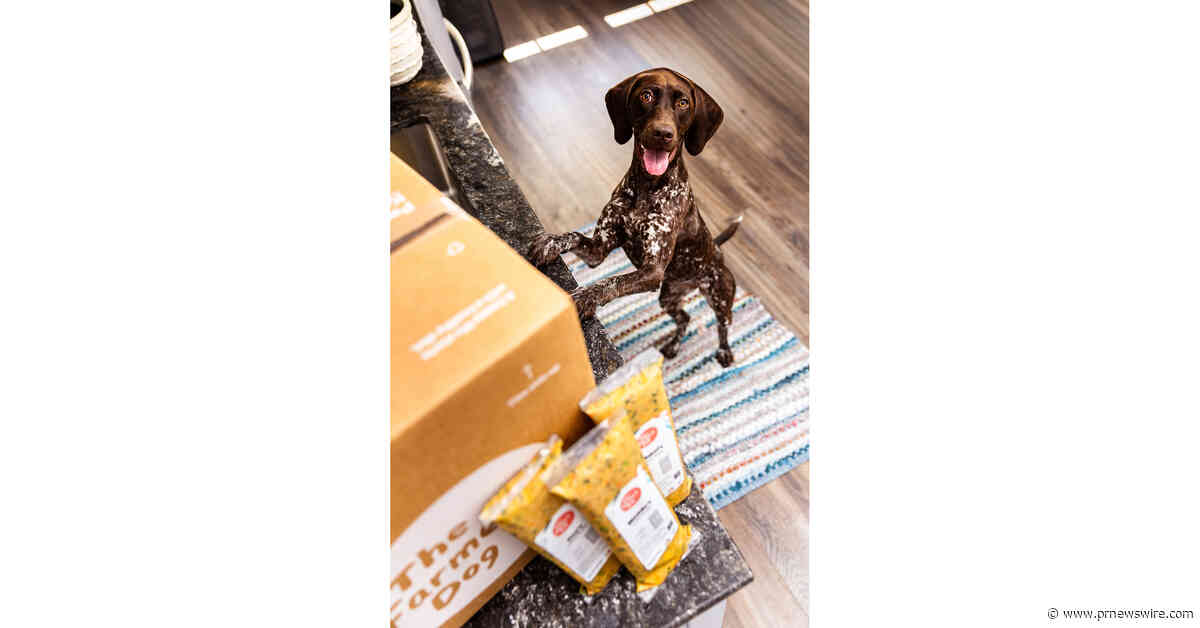The Farmer's Dog and U.S. Women's No. 1 Jess Pegula Team Up to Help More Rescue Dogs Change Lives