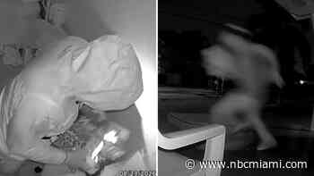 Hallandale Beach home invasion suspect who pointed gun at children arrested, cops say