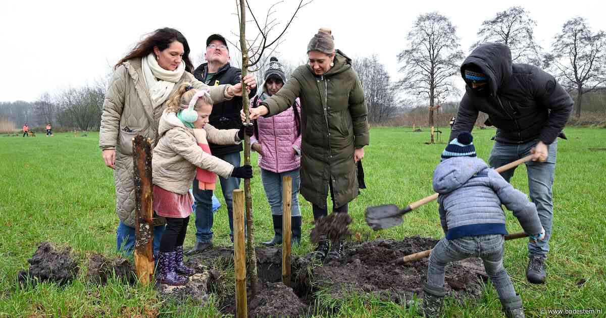 Ook Putte krijgt een gedenkbos, nu het bos in Hoogerheide al vol is: ‘Mooi symbool, en we krijgen meer groen’