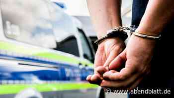 Bahnhof Bergedorf: Schwarzfahrt endet für 40-Jährigen im Gefängnis