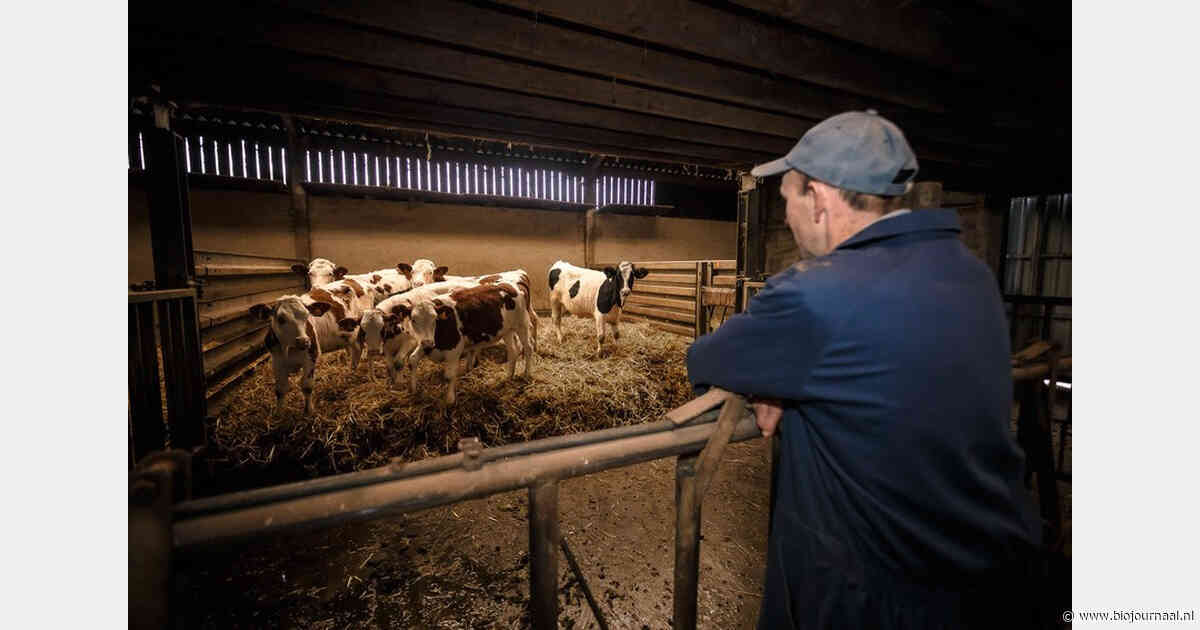 Onderzoekers pleiten voor ‘lighthousebedrijven’ in biologische veehouderij