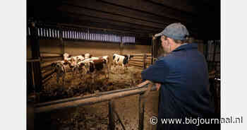 Onderzoekers pleiten voor ‘lighthousebedrijven’ in biologische veehouderij