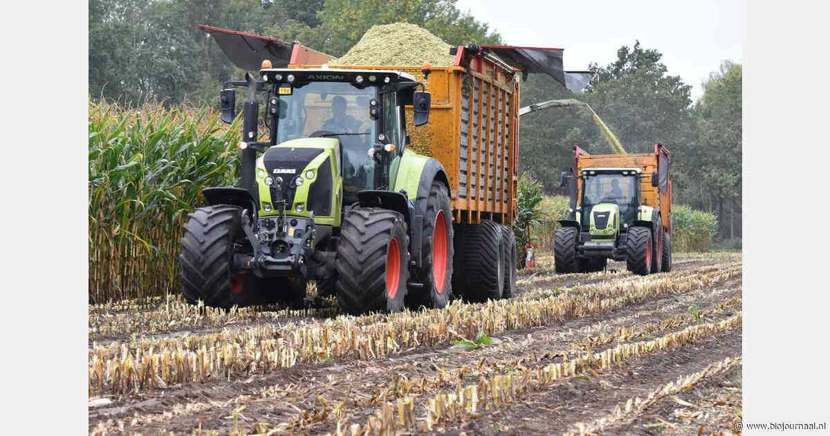 Reudink geeft aandachtspunten voor maïsoogst en grasland na droogte