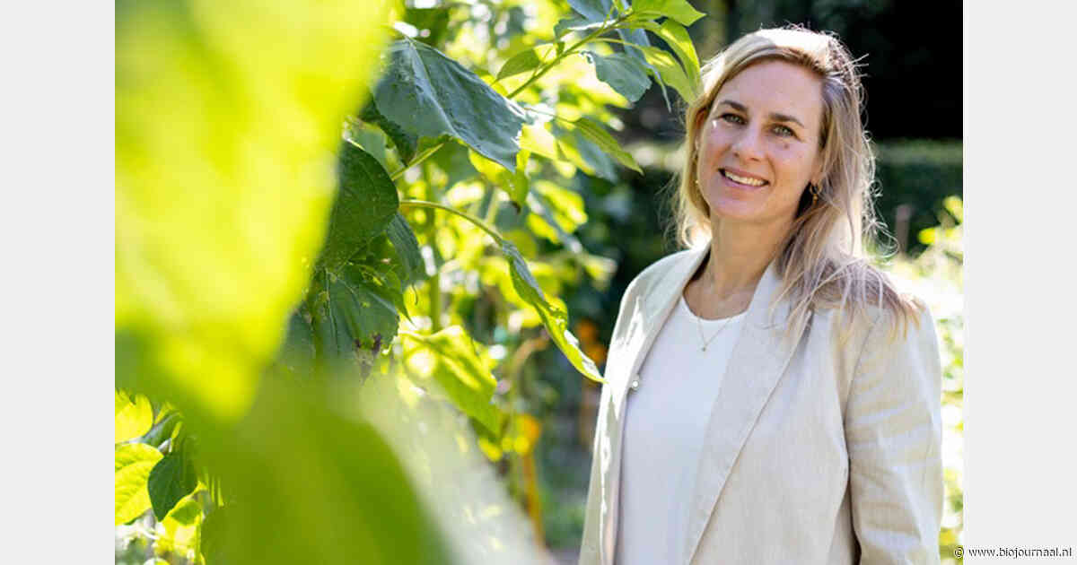 "We kunnen onze prijzen niet in één keer verdubbelen"