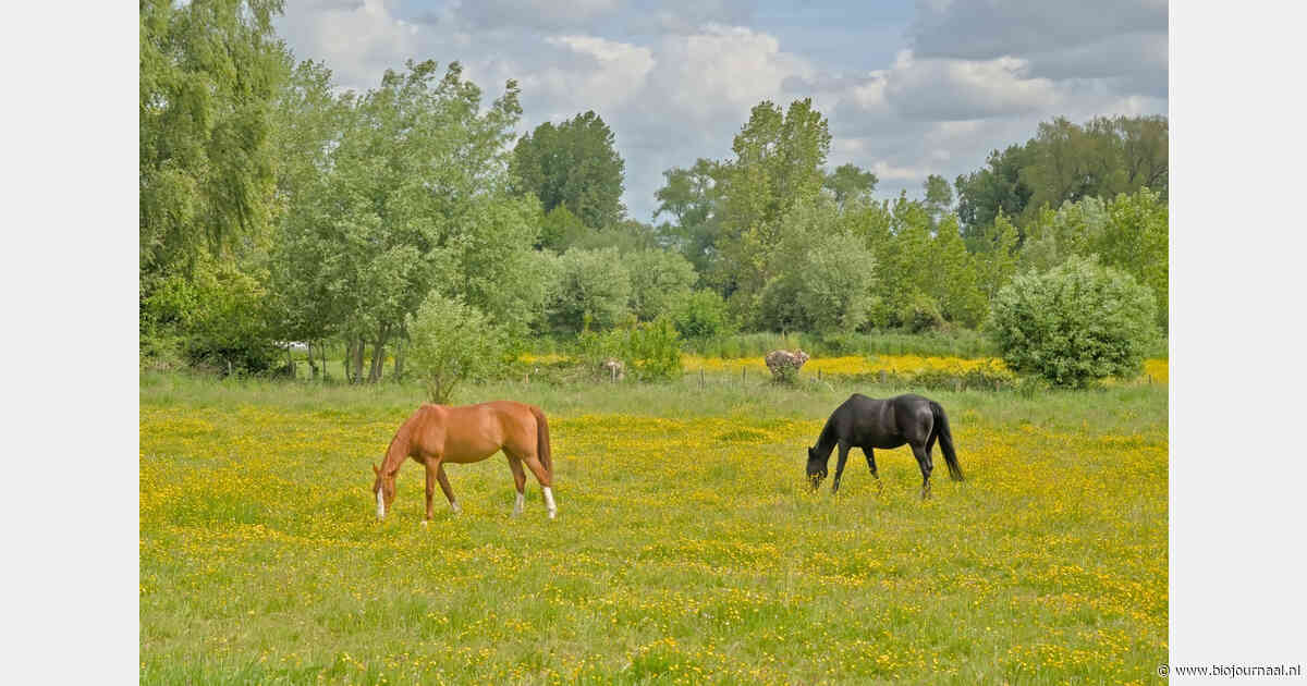 Vlaamse landbouwgrond onder druk door 'verpaarding en vertuining'