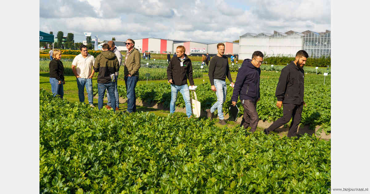 Zaadsector toont toekomst tijdens Seed meets Technology 2026
