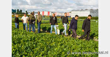 Zaadsector toont toekomst tijdens Seed meets Technology 2026