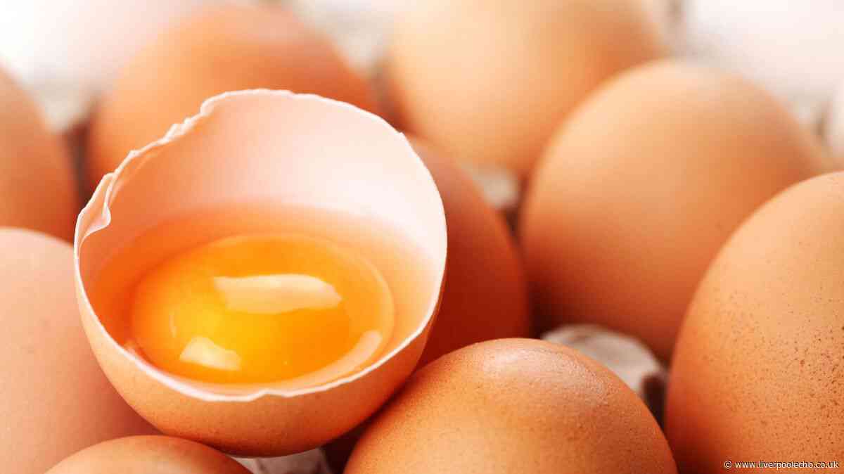 UKHSA shares egg warning after 259 cases of salmonella