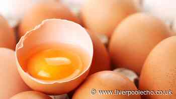 UKHSA shares egg warning after 259 cases of salmonella