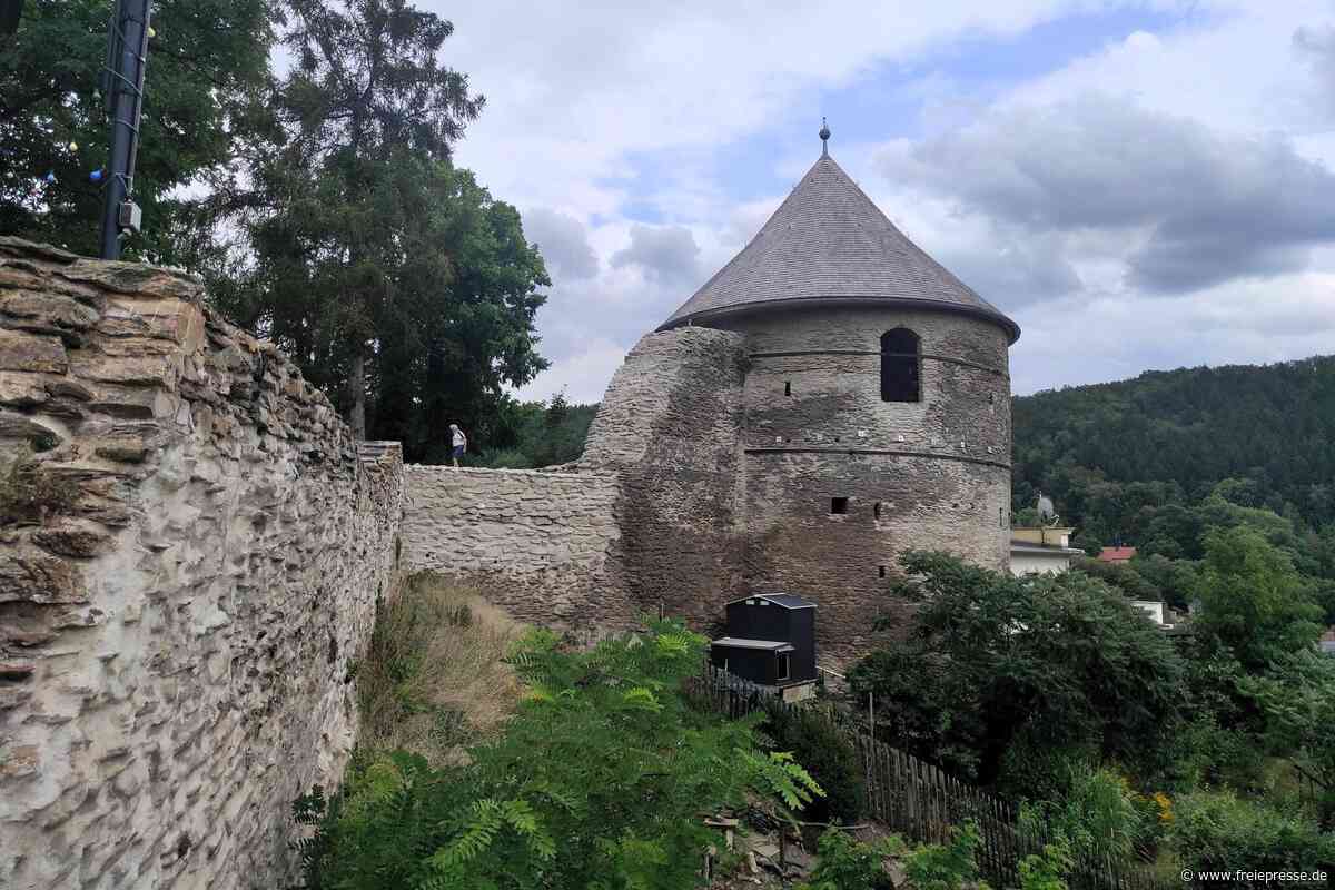 Lasershow, Festumzug und Randfichten: Das erwartet Besucher am Wochenende in Elsterberg