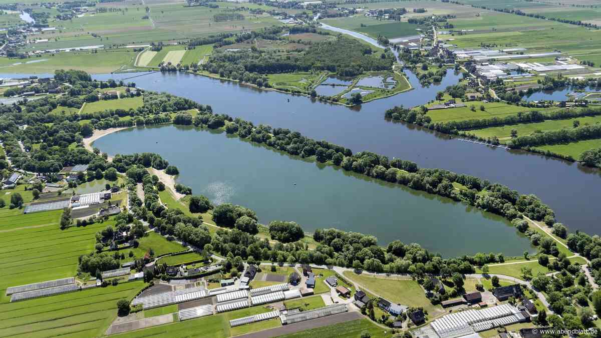 Eichbaumsee in Hamburg: Badeverbot wegen hoher Blaualgen-Belastung