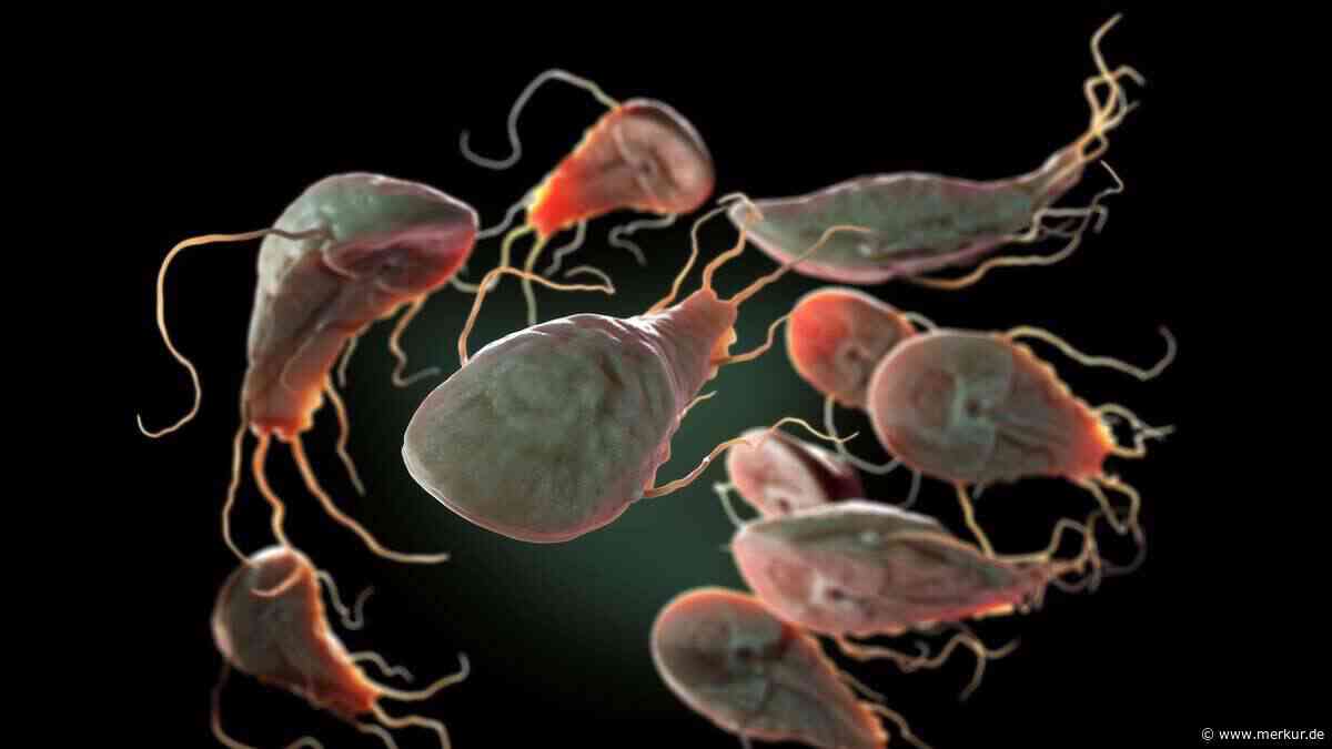 Parasiten-Infektionen auf Zehn-Jahres-Hoch – Gesundheitsbehörde warnt vor Giardiasis