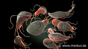 Parasiten-Infektionen auf Zehn-Jahres-Hoch – Gesundheitsbehörde warnt vor Giardiasis