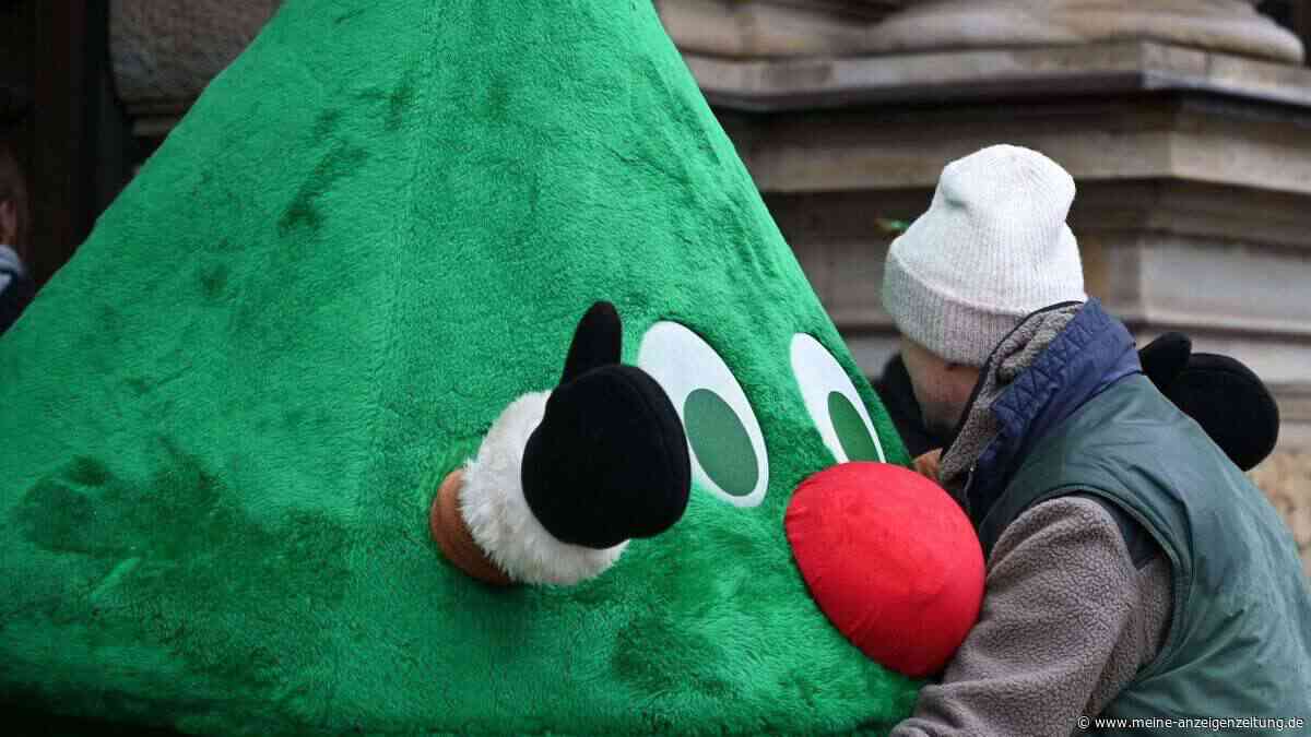 2.400 Euro Strafe: Gärtner stellte Weihnachtsbaum vor Kita – die wollte aber keinen