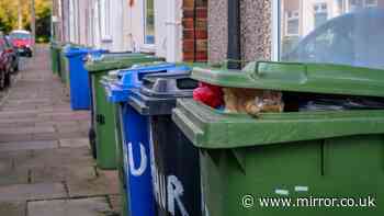 Binman says 'we know you do it' as sneaky habit could cost £400