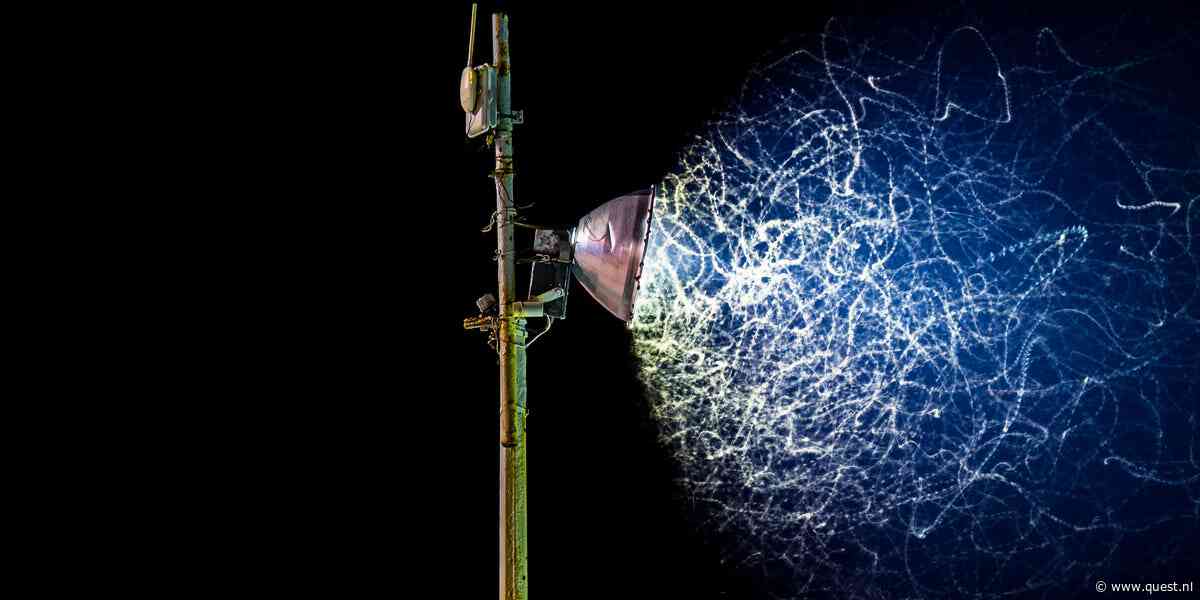 Waarom komen insecten op lampen af? Wetenschappers zijn het niet met elkaar eens