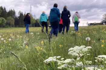 Kräuterwanderungen und mehr: Was Gäste bei einem Gesundheitstag im Erzgebirge erwartet