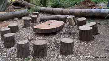 Langley outdoor preschool loses licence, shuts down because of unused indoor space