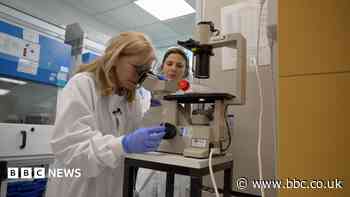 Cancer trial hopes to reduce risks for rare condition