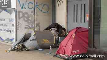 Number of homeless refugees housed by UK council surges 400 per cent as authority faces accusations of 'prioritising illegal migrants'