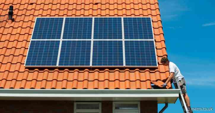 Half of us want homes with solar panels — your no-nonsense guide to installing them