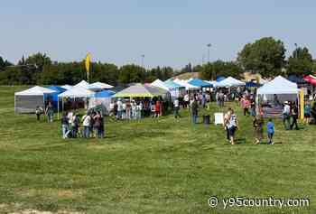 Family Friendly Art In The Park Returns Saturday In Casper