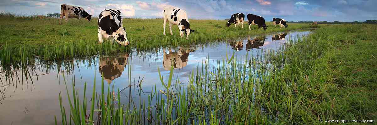 Boldyn deploys 5G RedCap for smart livestock monitoring