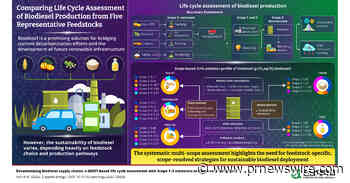 Chonnam National University Researchers Investigate How Biodiesel Feedstocks and Production Pathways Affect Their Life Cycle Sustainability