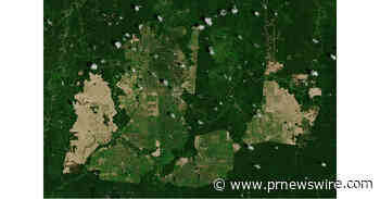 Indonesia's Forest-Zone Oil Palm Dilemma: Why Laws Aren't Enough