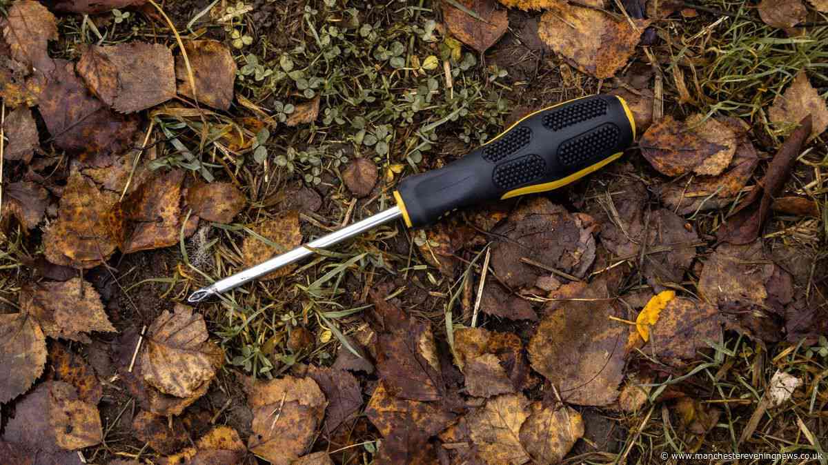 Households urged to try simple ‘screwdriver test’ to turn yellow lawns back green