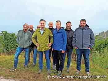 Weinlese gestartet