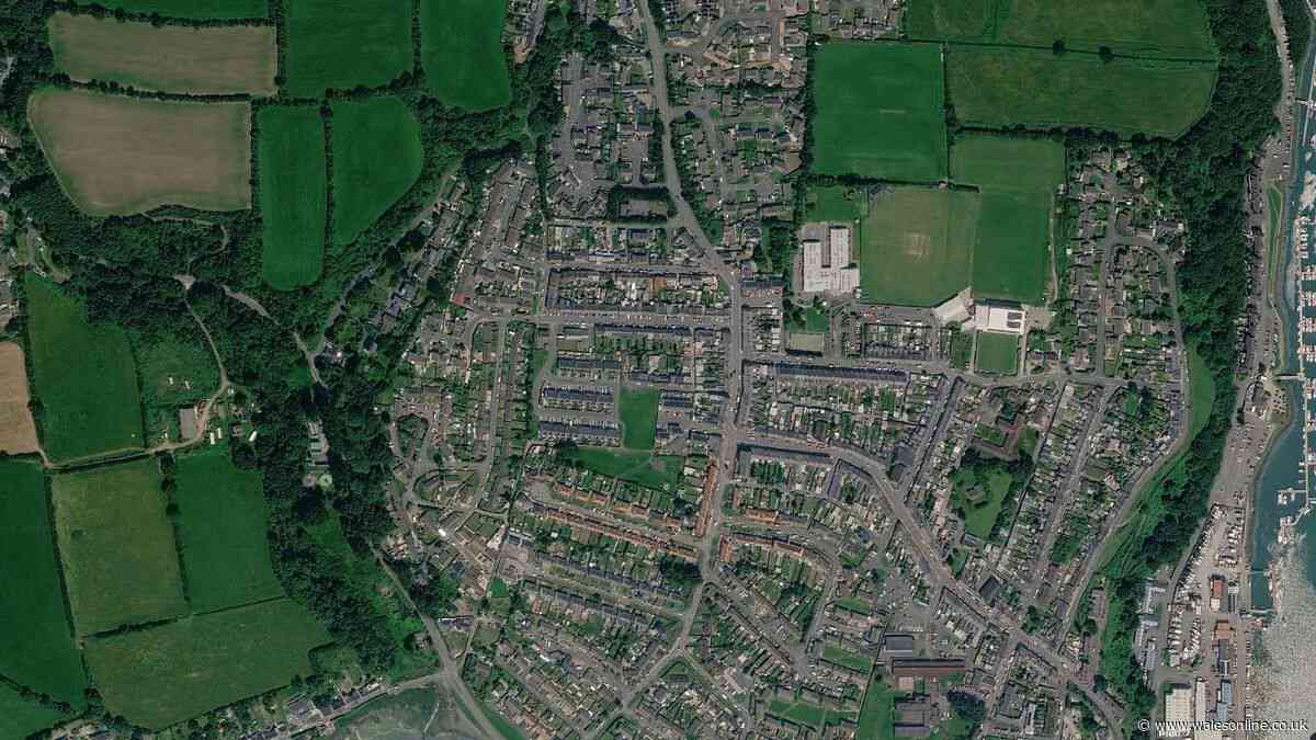 13-year-old arrested after mopeds set alight in Neyland