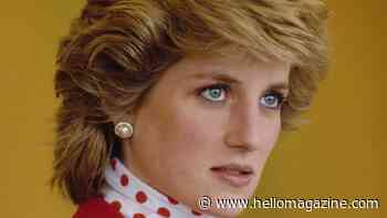 How Princess Diana negotiated exact 'meaningful role' and 'private life' Prince Harry desires