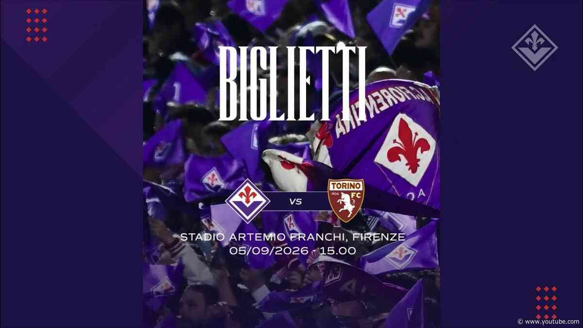 VIOLA DAILY LIVE - 26 AGOSTO 2026