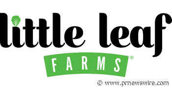 Love Letters to Lettuce? You Read that Right - Little Leaf Farms Fans are Feeling the Love