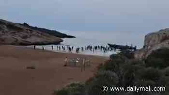 Moment dozens of cheering migrants charge up Spanish beach after being dropped off by speedboat 'taxi'