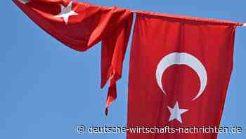 Wende in Syrien: Ankara begrüßt das Aus für kurdische SDF-Miliz