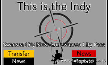 Swansea City : Centre back incoming ?