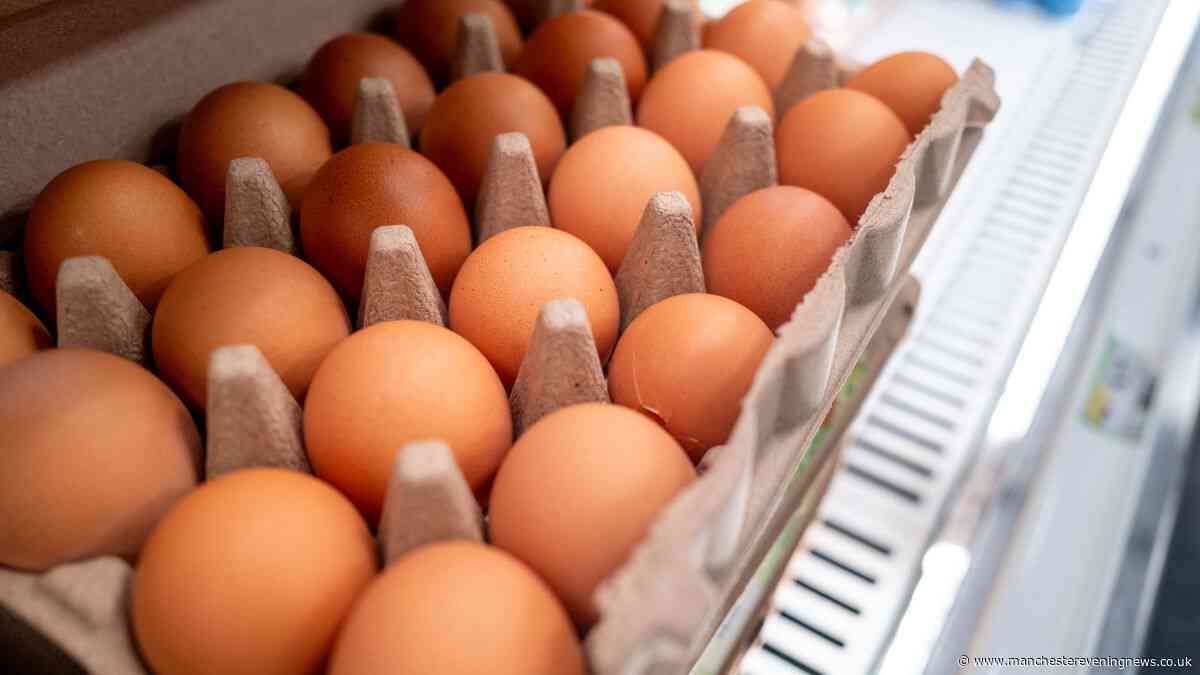 Dozens more fall ill in deadly UK salmonella outbreak linked to imported eggs