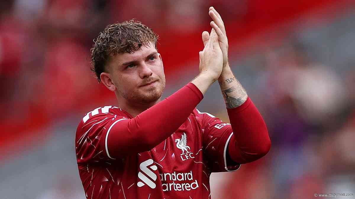 Latest on Manchester City and Arsenal's interest in Iliman Ndiaye - as Italian giants eye move for Liverpool's Harvey Elliott: WINDOW WATCH