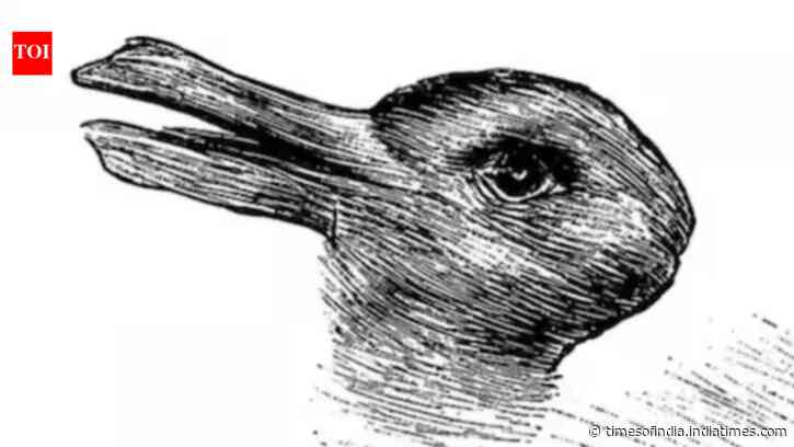 Optical illusion personality test: What you spot in the first 5 seconds reveals your true nature