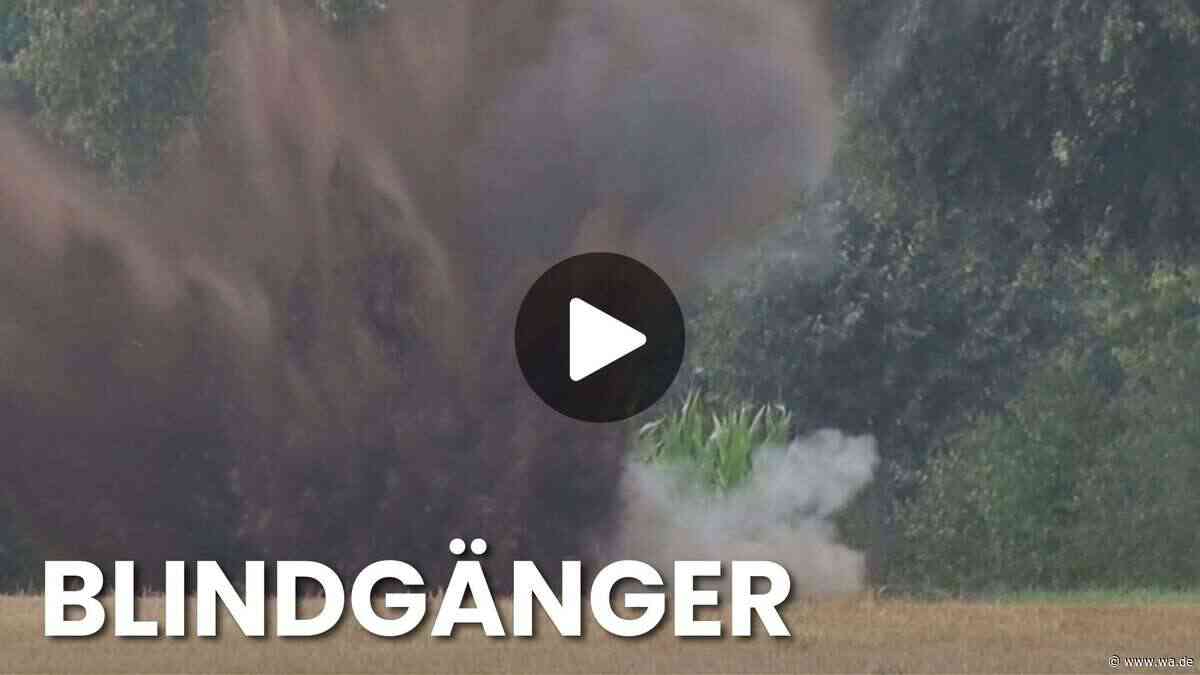 Weltkriegsbombe im Kartoffelbetrieb: Blindgänger landet auf Förderband