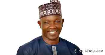 Awolowo 2.0: How subsidy removal is funding education, health