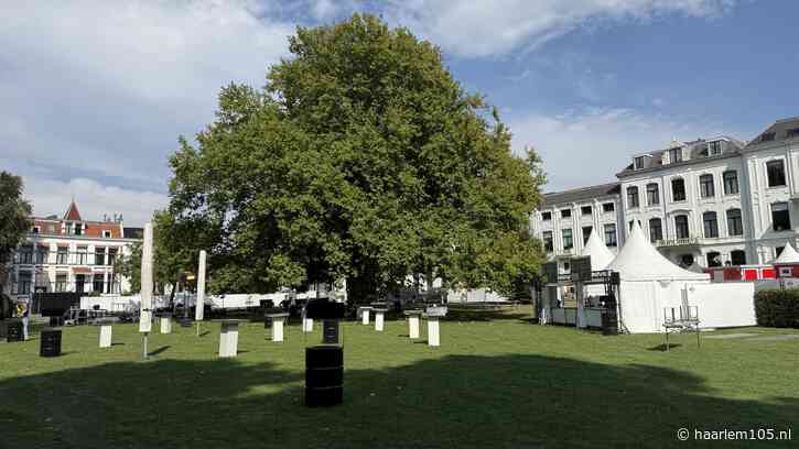 Foodtruckfestival Proefpark morgen van start: ‘Hopelijk vallen de buien ’s nachts’