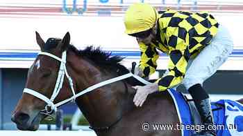 Autumn Glow crowned Australia’s best racehorse on huge night for Arrowfield