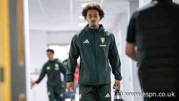 Sources: Fiorentina discuss Zirkzee loan move