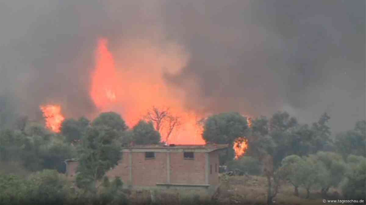 Mindestens zwölf Menschen bei Waldbränden in Algerien gestorben