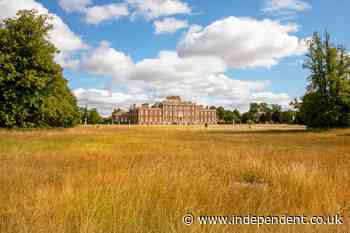 National Trust forced to use winter feed months early due to UK drought